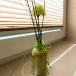 Appartement Strandlilie